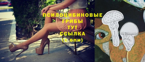 таблы Аркадак