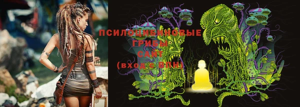 таблы Аркадак