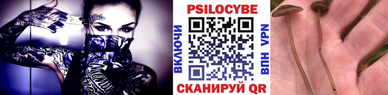 Галлюциногенные грибы ЛСД  Озёры 